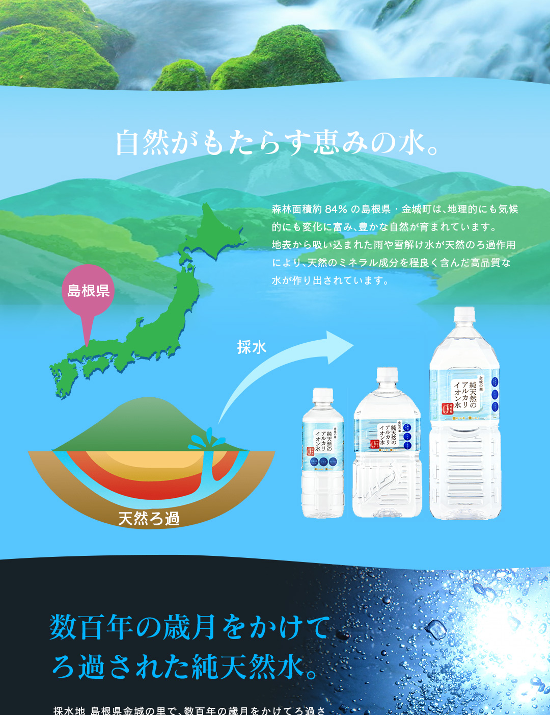 金城の華