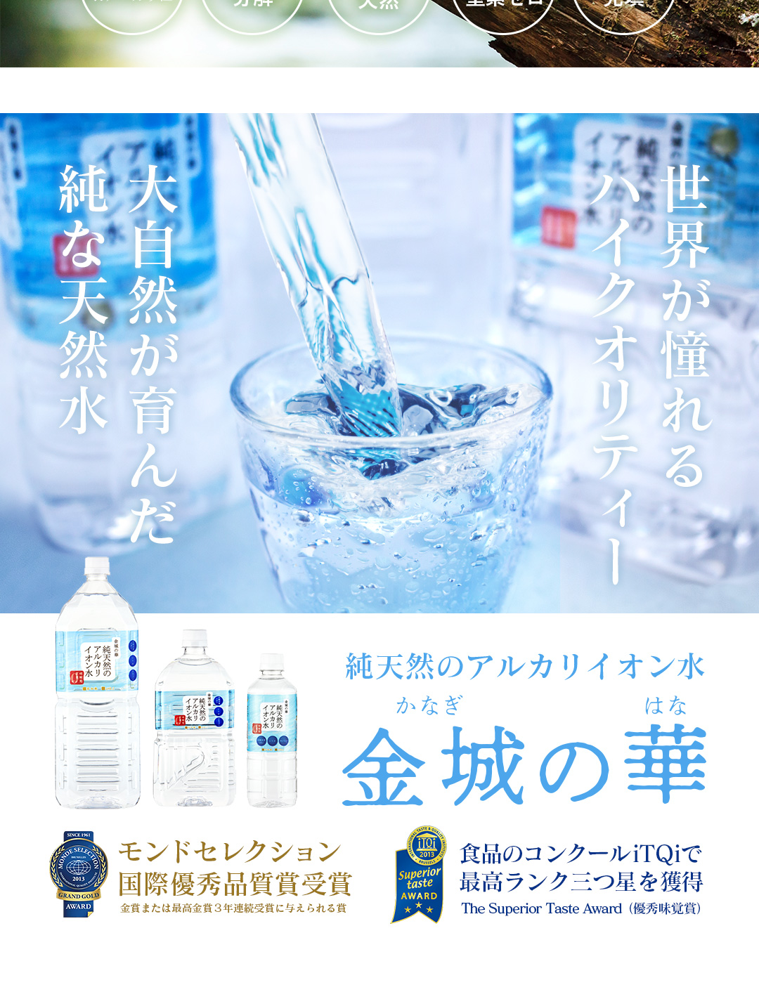 金城の華