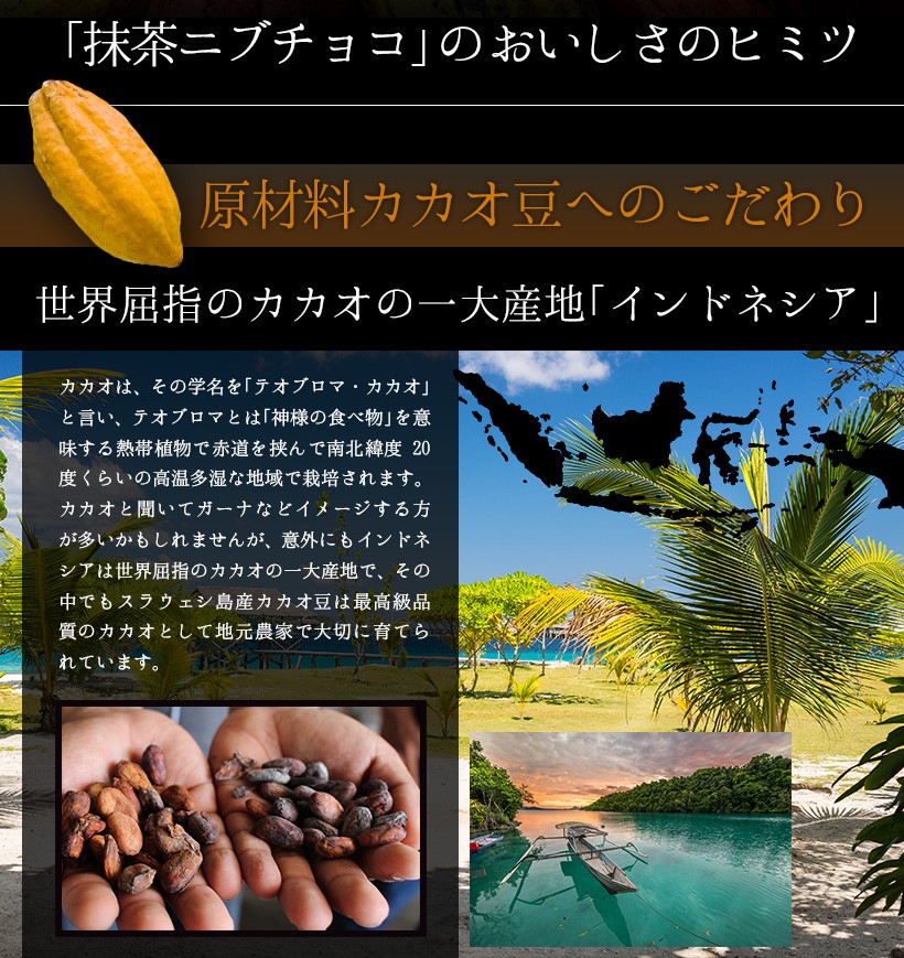 「抹茶ニブチョコ」のおいしさのヒミツ 原材料カカオ豆へのこだわり 世界屈指のカカオの一大産地「インドネシア」 カカオは、その学名を「テオブロマ・カカオ」と言い、テオブロマとは「神様の食べ物」を意味する熱帯植物で赤道を挟んで南北緯度20度くらいの高温多湿な地域で栽培されます。カカオと聞いてガーナなどイメージする方が多いかもしれませんが、意外にもインドネシアは世界屈指のカカオの一大産地で、その中でもスラウェシ島産カカオ豆は最高級品質のカカオとして地元農家で大切に育てられています。｜チョコレート カカオ カカオニブ カカオ豆 抹茶 宇治抹茶 焙煎 スイーツ ポリフェノール