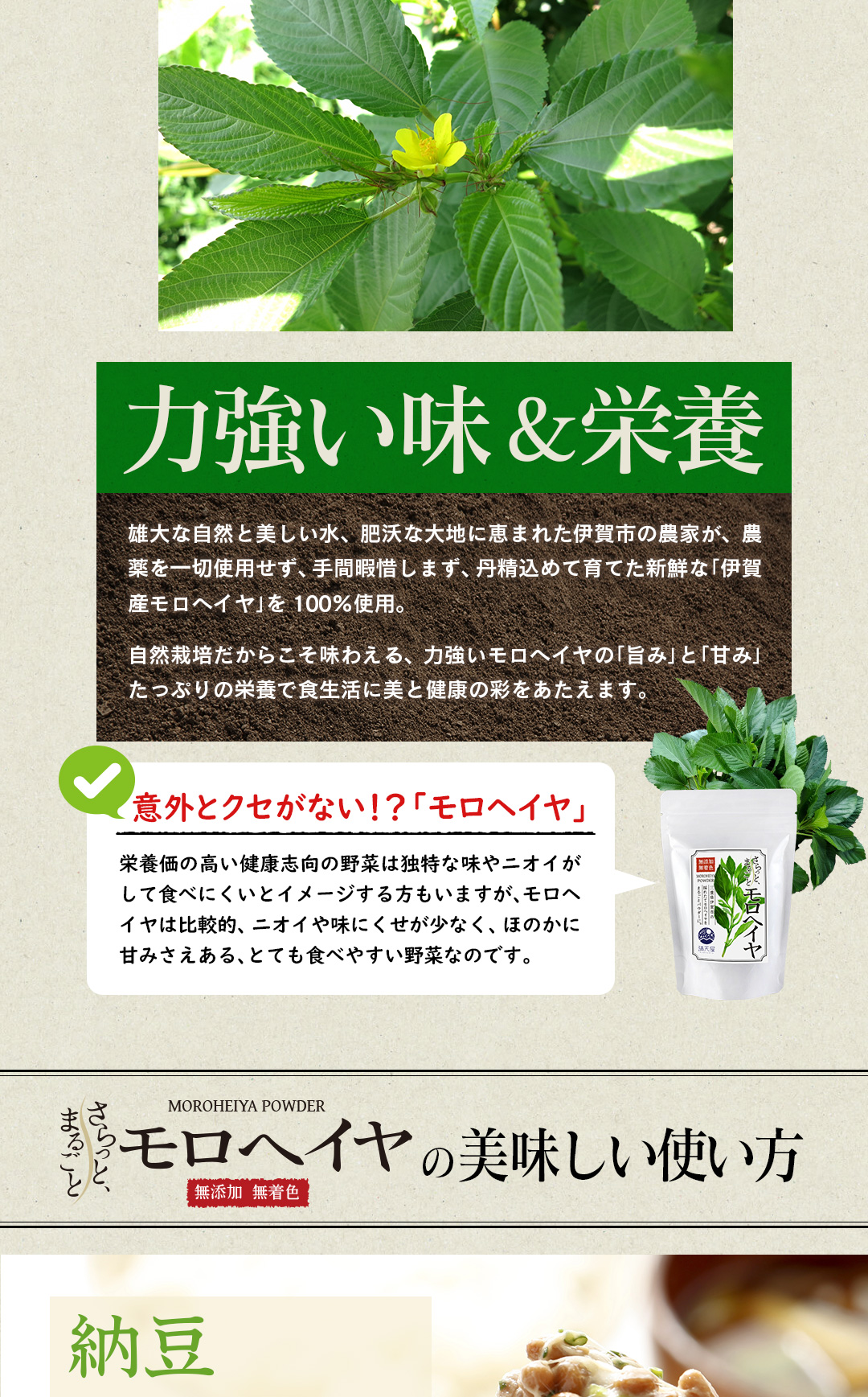 モロヘイヤパウダー