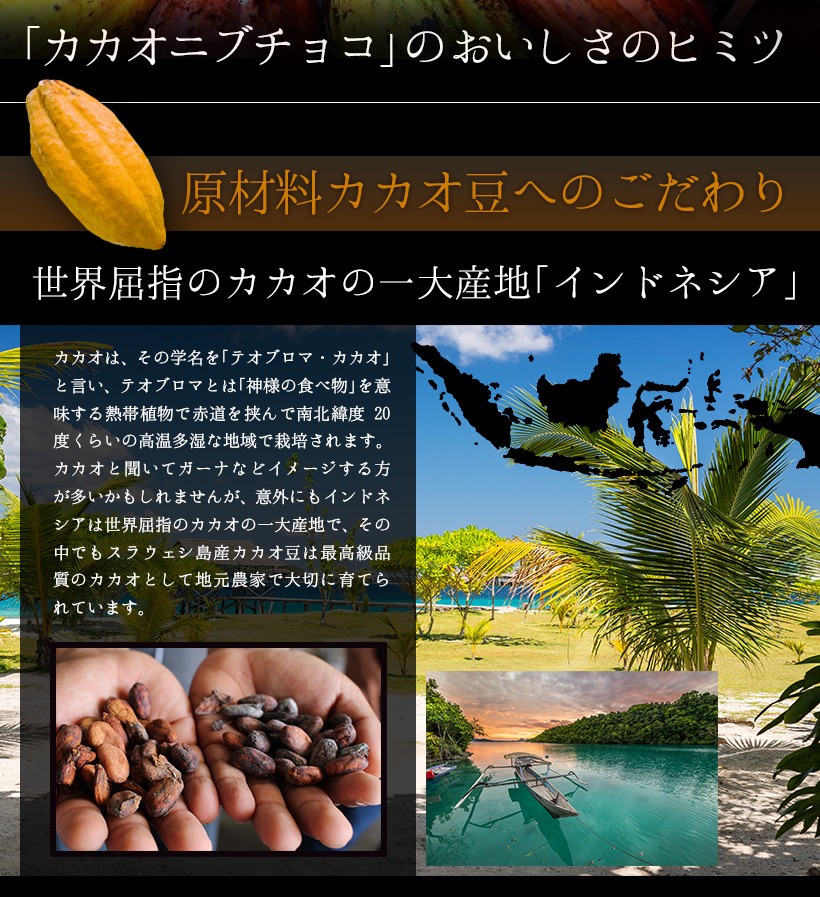 「カカオニブチョコ」のおいしさのヒミツ 原材料カカオ豆へのこだわり 世界屈指のカカオの一大産地「インドネシア」 カカオは、その学名を「テオブロマ・カカオ」と言い、テオブロマとは「神様の食べ物」を意味する熱帯植物で赤道を挟んで南北緯度20度くらいの高温多湿な地域で栽培されます。カカオと聞いてガーナなどイメージする方が多いかもしれませんが、意外にもインドネシアは世界屈指のカカオの一大産地で、その中でもスラウェシ島産カカオ豆は最高級品質のカカオとして地元農家で大切に育てられています。｜チョコレート カカオ カカオニブ カカオ豆 焙煎 スイーツ ポリフェノール