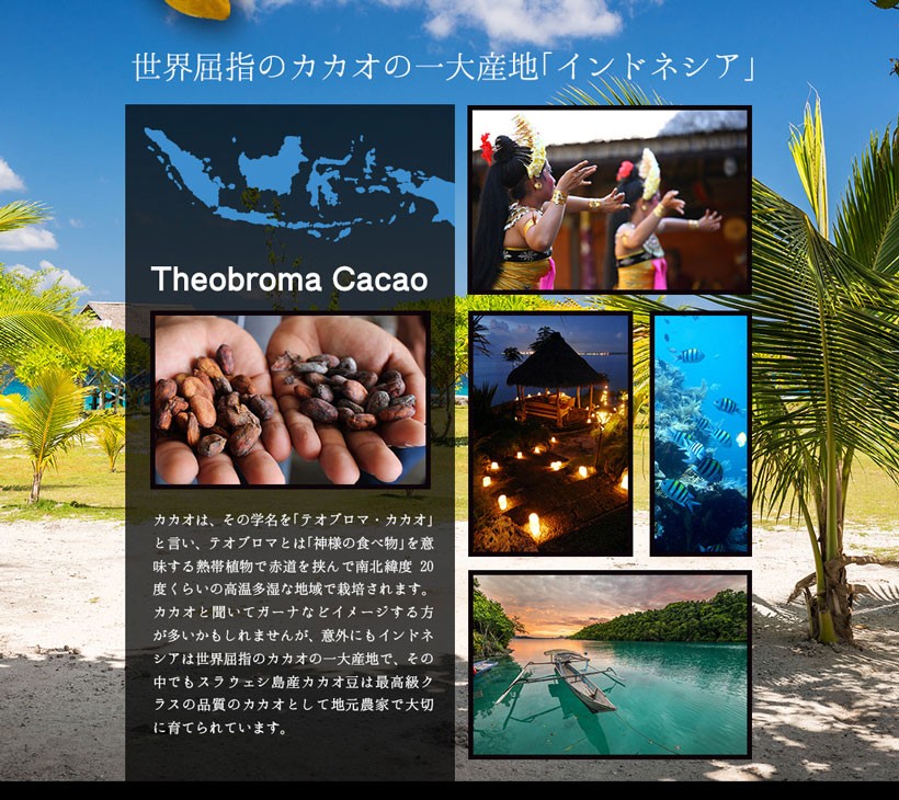 カカオニブチョコ ～ポリフェノールたっぷりのダブルカカオ～ 65g