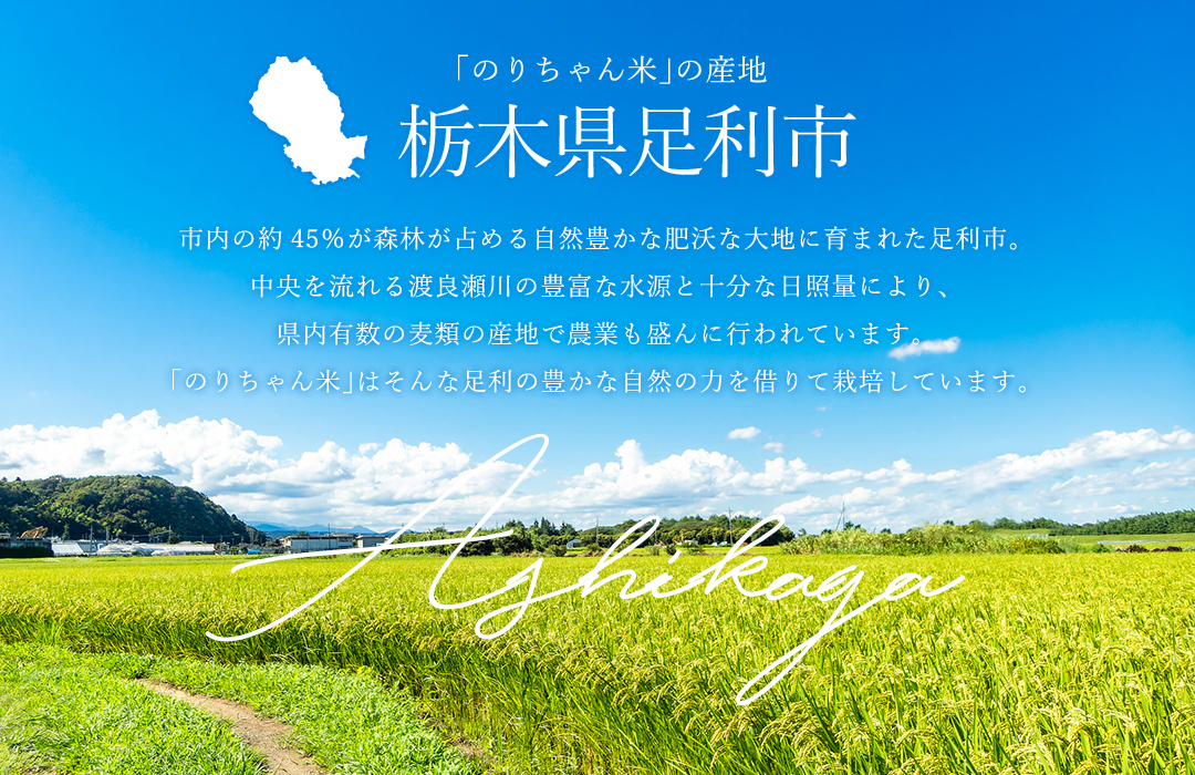 のりちゃん米 もち米