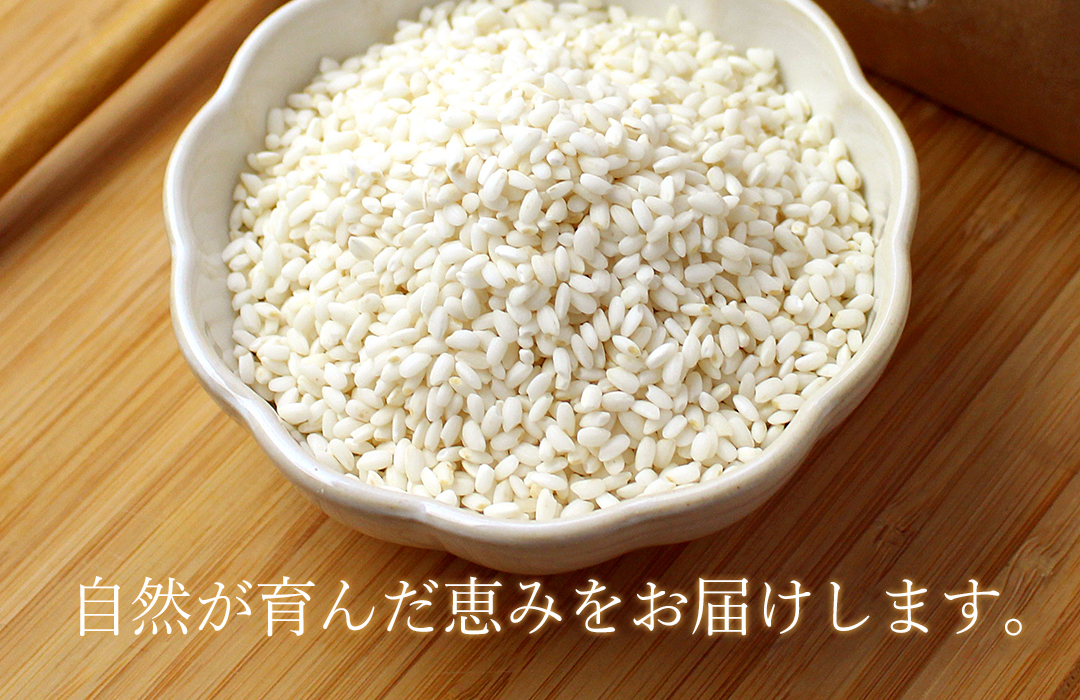 のりちゃん米 もち米