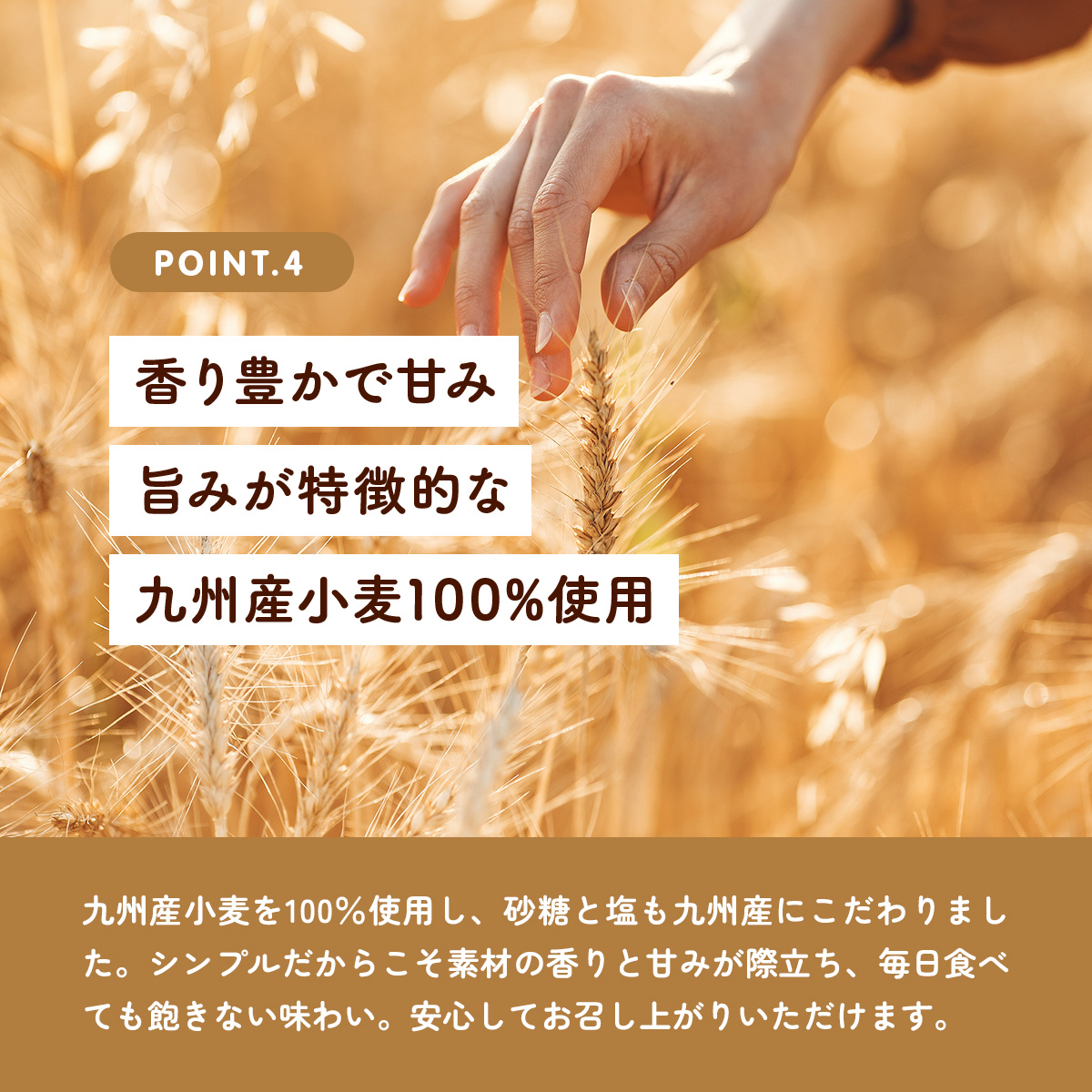 しっとり、もっちり、ヘルシー♪国産ベーグル10種お試しセット 九州産小麦 冷凍 冷凍パン 電子レンジ 時短 時短料理 爆買 関連画像4