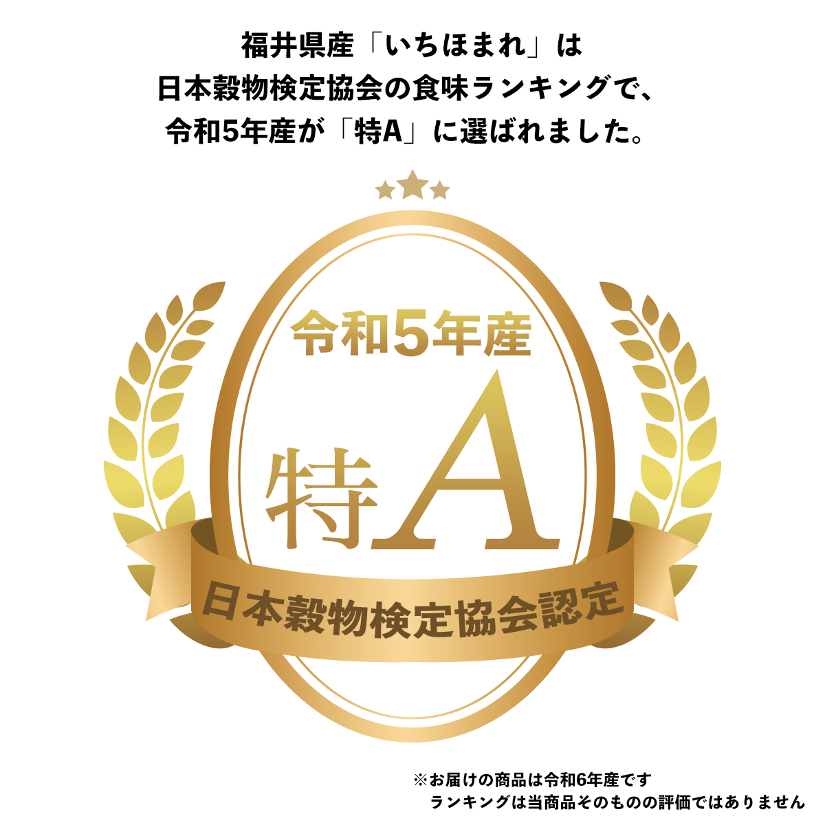 令和7年産 新米 米10kg 福井県産 いちほまれ 10kg （5kg×2袋 