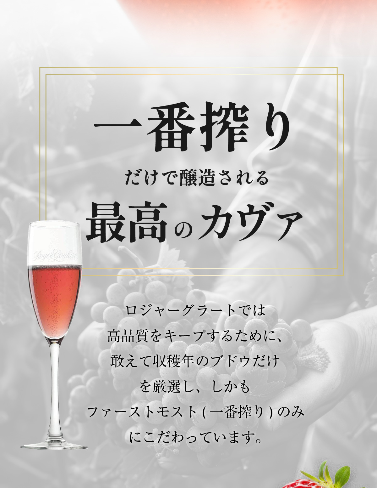 ドンペリ ロゼの商品一覧 通販 - Yahoo!ショッピング ドンペリ ロゼの商品一覧 通販 - Yahoo!ショッピング