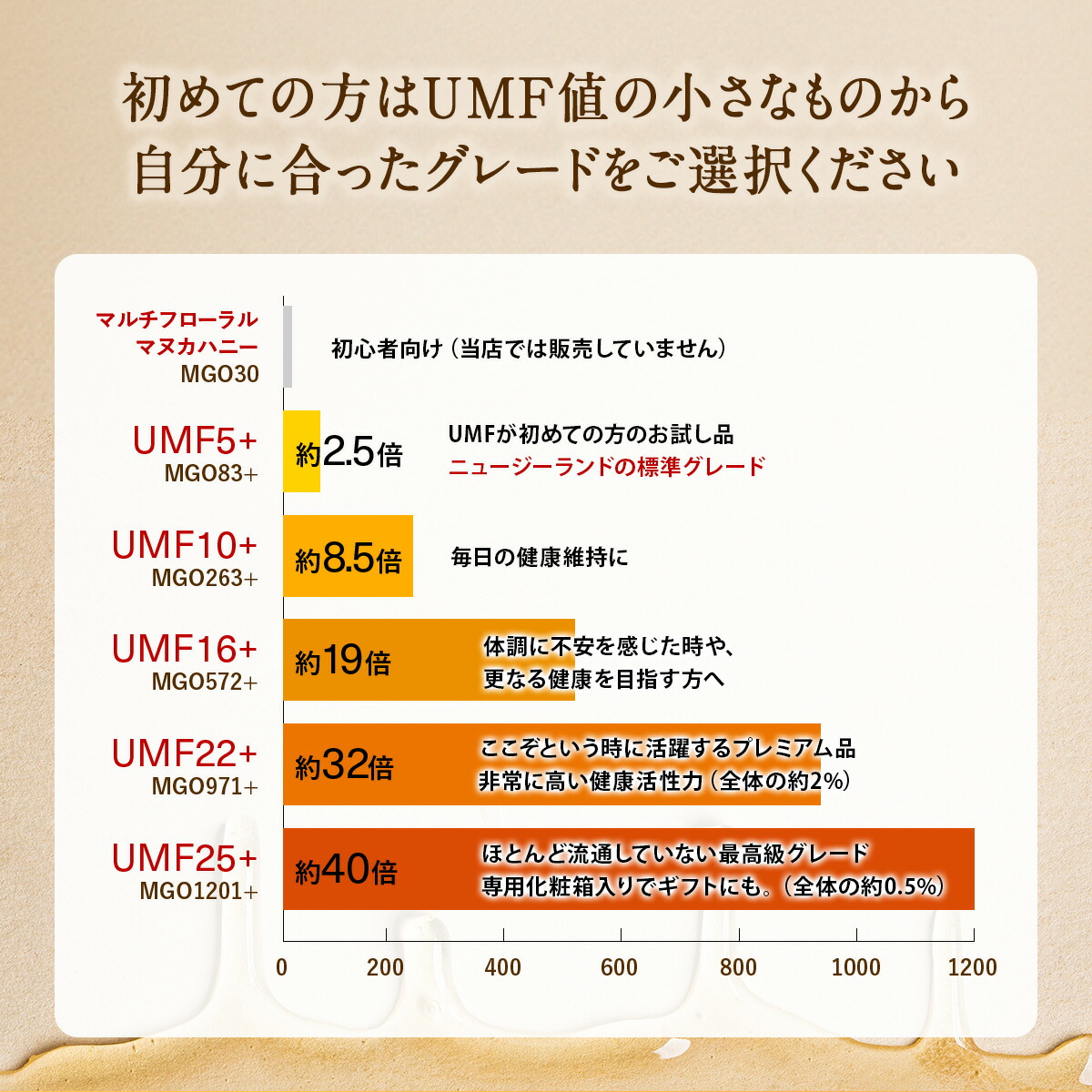 自分に合ったグレードを