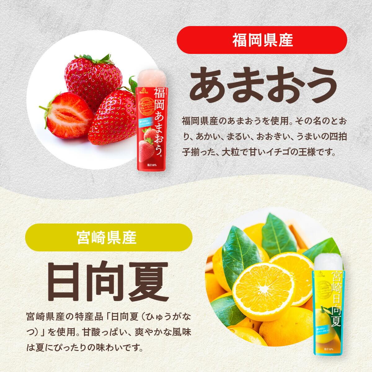 おうちで凍らせて食べるアイス 選べる6本セット...の詳細画像4