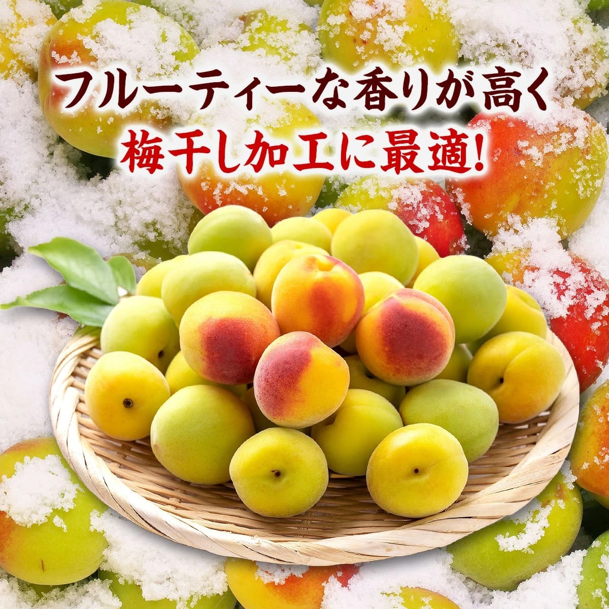 梅干し加工に最適