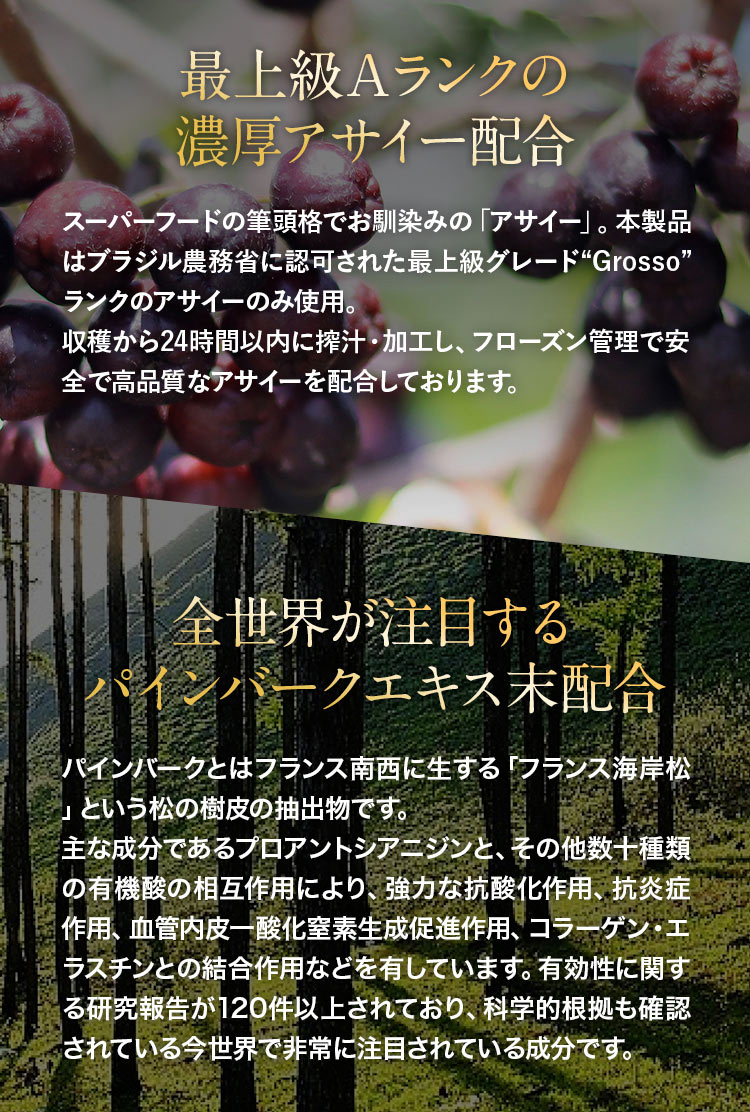 濃厚アサイー