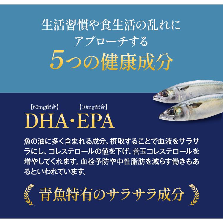 DHA&EPA＋DPA＋植物由来オイル（約1ヶ月分） オメガ3 DHA&EPA＋DPA 不飽和脂肪酸 ドコサヘキサエン酸｜sonoshokuan｜05