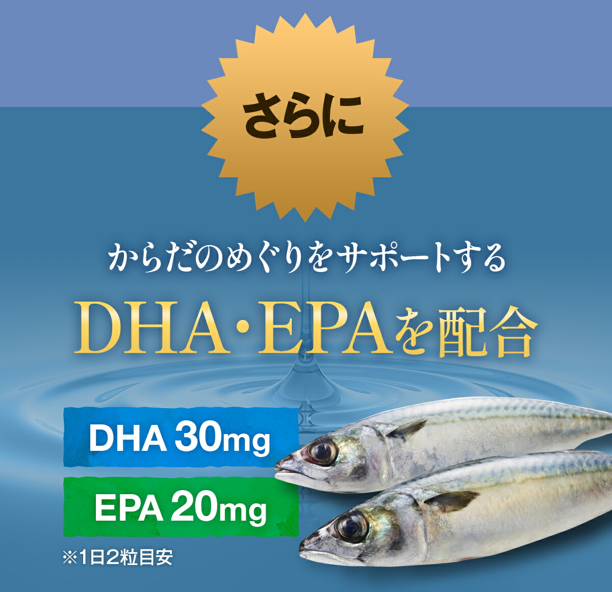 イチョウ葉 サプリ 約1ヵ月分 送料無料 DHA EPA ビタミンE イチョウの葉 いちょう葉｜sonoshokuan｜07