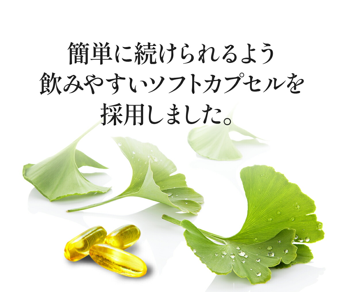 イチョウ葉 サプリ 約1ヵ月分 送料無料 DHA EPA ビタミンE イチョウの葉 いちょう葉｜sonoshokuan｜11