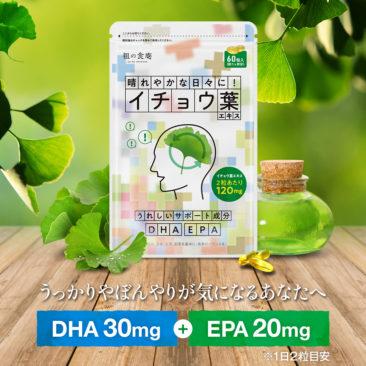 イチョウ葉 サプリ 約1ヵ月分 送料無料 DHA EPA ビタミンE イチョウの葉 いちょう葉｜sonoshokuan