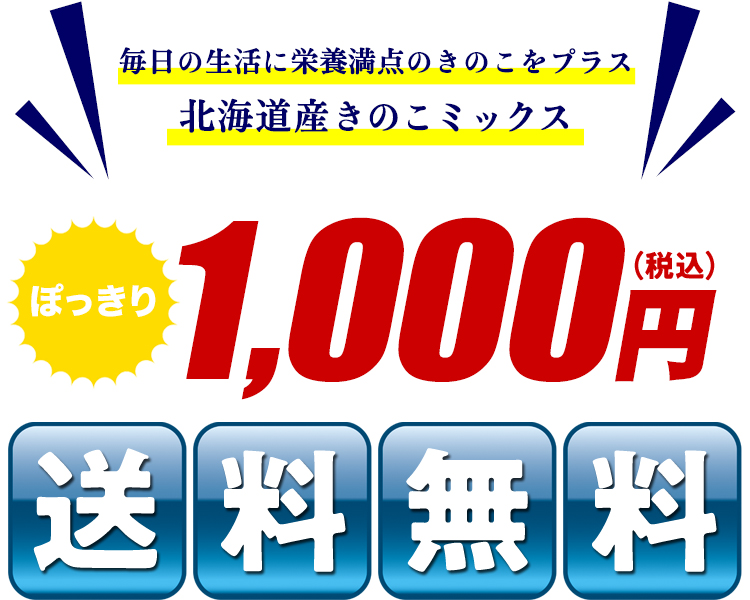 送料無料ぽっきり1000円