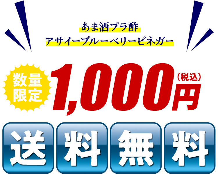 価格1000円