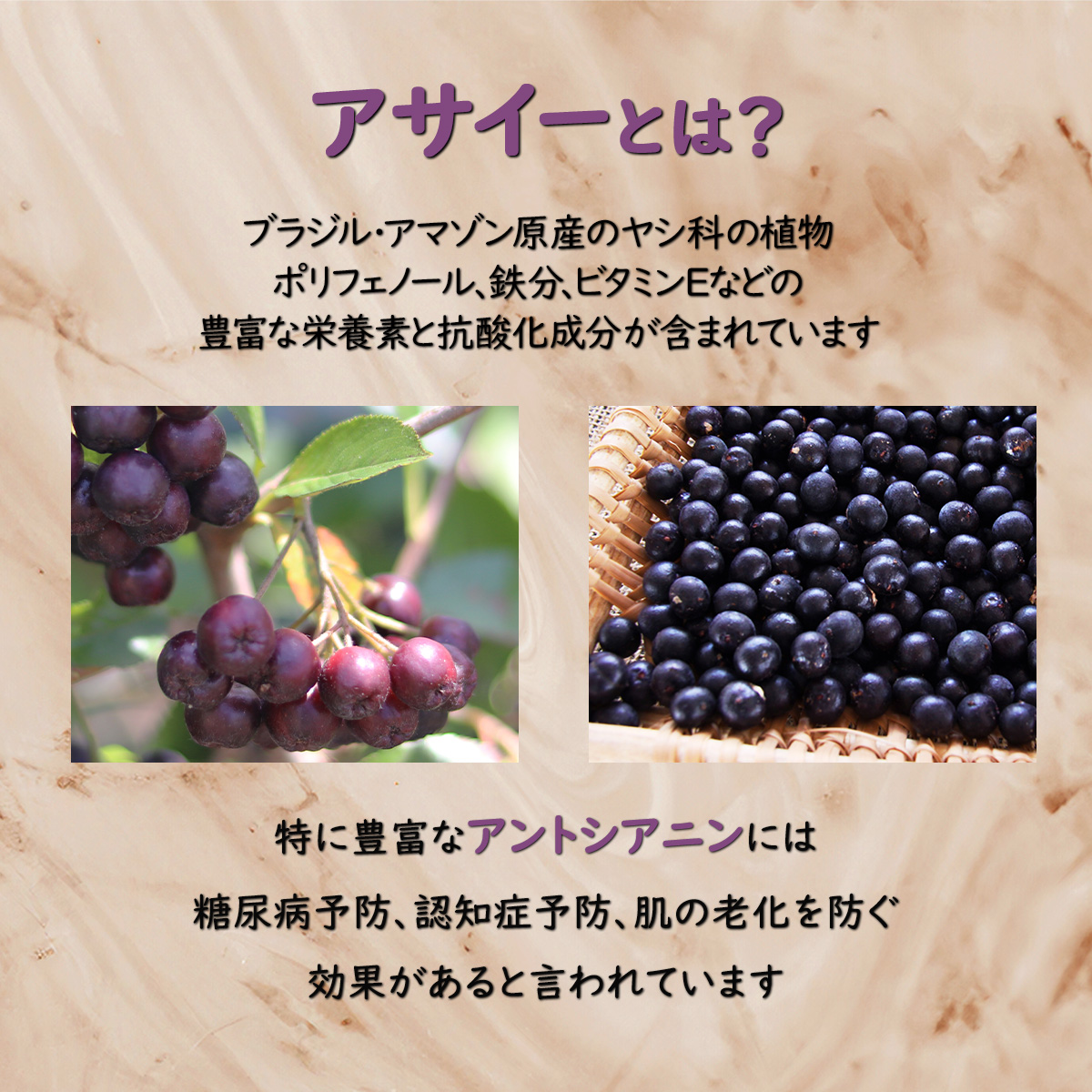 アサイーとは