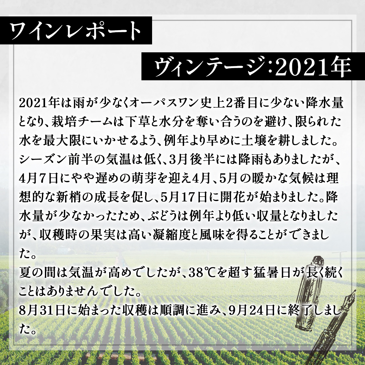 オーパス・ワン【2021】or【2022】1本 Opus One 750ml 赤ワイン ワイン