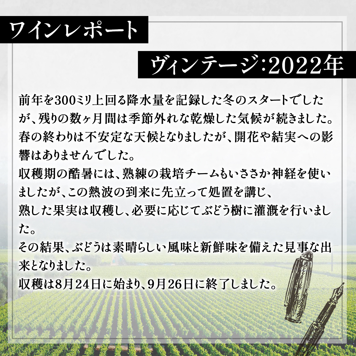 オーパス・ワン【2021】or【2022】1本 Opus One 750ml 赤ワイン ワイン