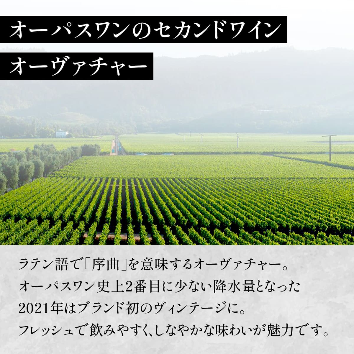 オーヴァチャー 2021 OPUS ONE OVERTURE Overture オーバーチャー