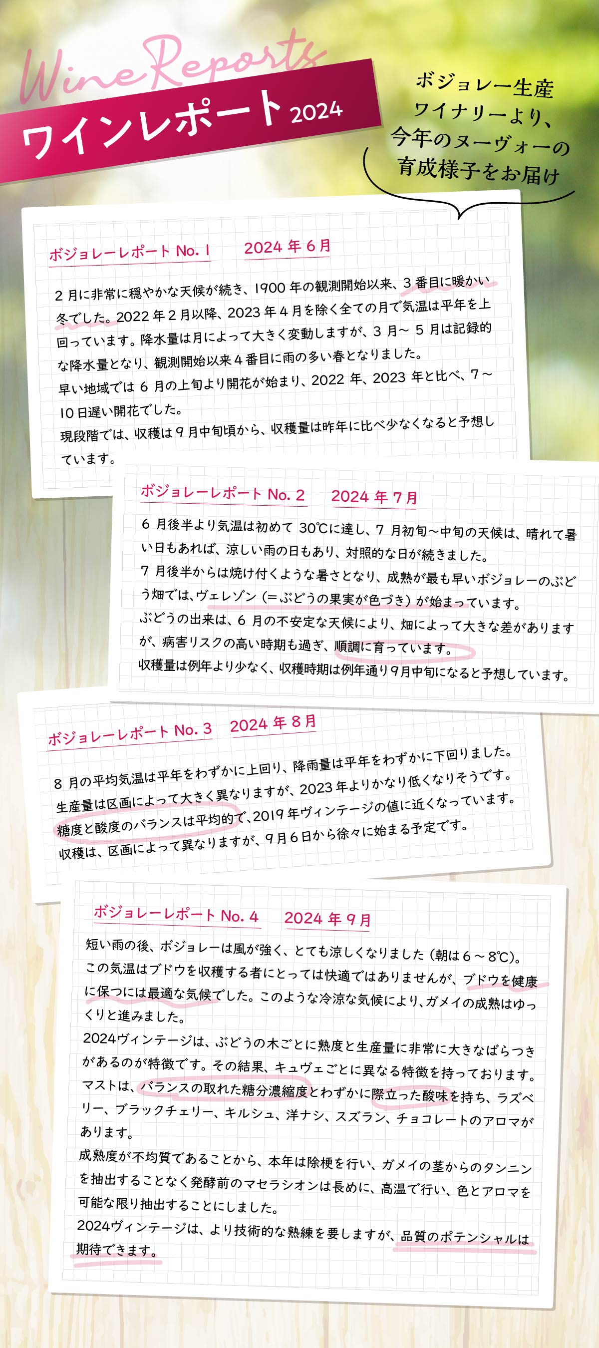 ボジョレーヌーボーの商品一覧 通販 - Yahoo!ショッピング