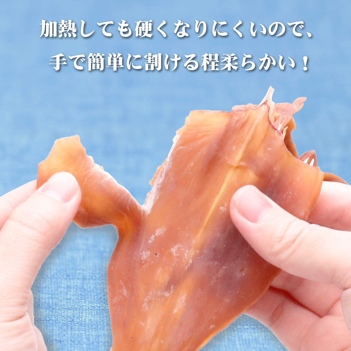 1,000円ぽっきり！更にまとめ買いクーポンも！【無添加】剣先いか