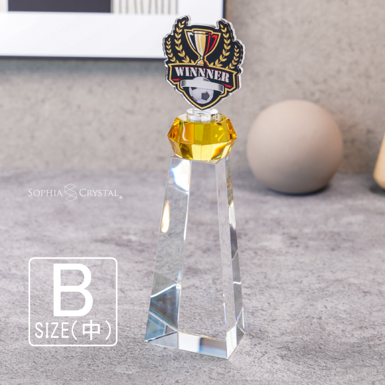 プレミアム アクリル トロフィー ART-2B(中) 名入れ 記念品 表彰状 退職記念 周年記念 創立記念 ゴルフ スポーツ イベント 優勝 プレゼント ギフト おしゃれ