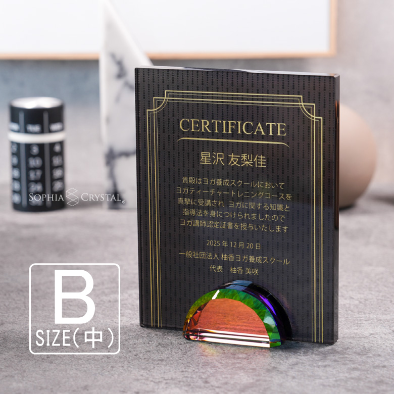 �֥�å��ӥ塼�ƥ��� ɽ���� DP-15B-bb(��) ���ꥹ���� �� �� ̾���� ��ǰ�� ɽ���� ´�� �࿦�ˤ� ��ǯ��ǰ ��Ω��ǰ ����� ���ݡ��� ���ե� DPB-15