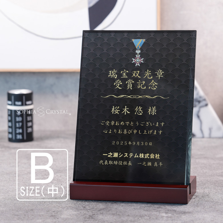 ブラックビューティー 表彰盾 DSP-2B-bb(中) ソーダガラス 黒 楯 名入れ 記念品 表彰状 卒業 退職祝い 周年記念 創立記念 ゴルフ スポーツ ギフト DSPB-2