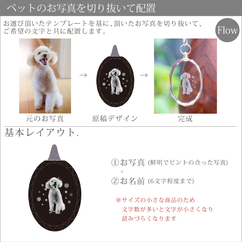 SOPHIA 黒ちゃん 猫ストラップ 新品 グッズ - ミュージシャン