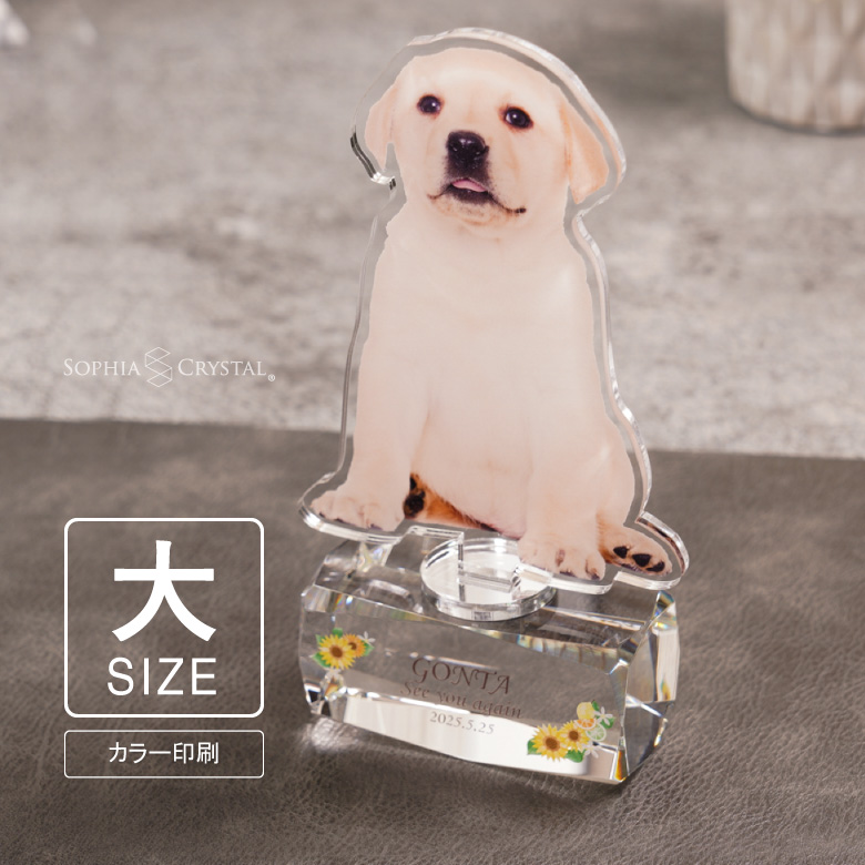 ハミクマ ハミクマソウル ティッシュケース グローブ セット 2024】USJ