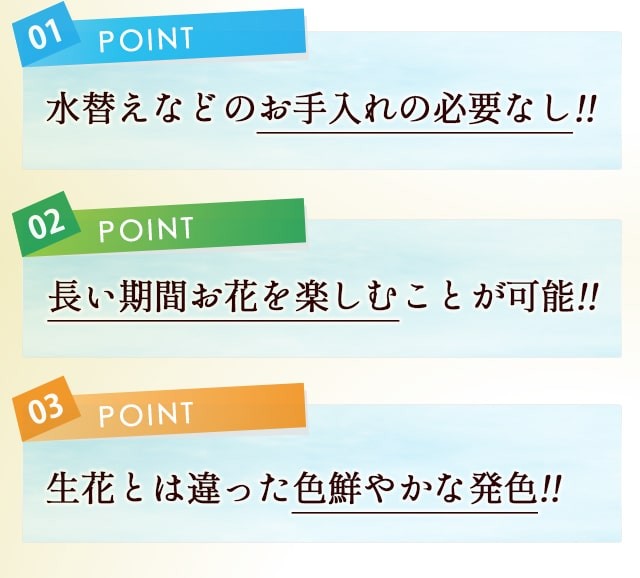 送料無料！プリサーブドフラワー