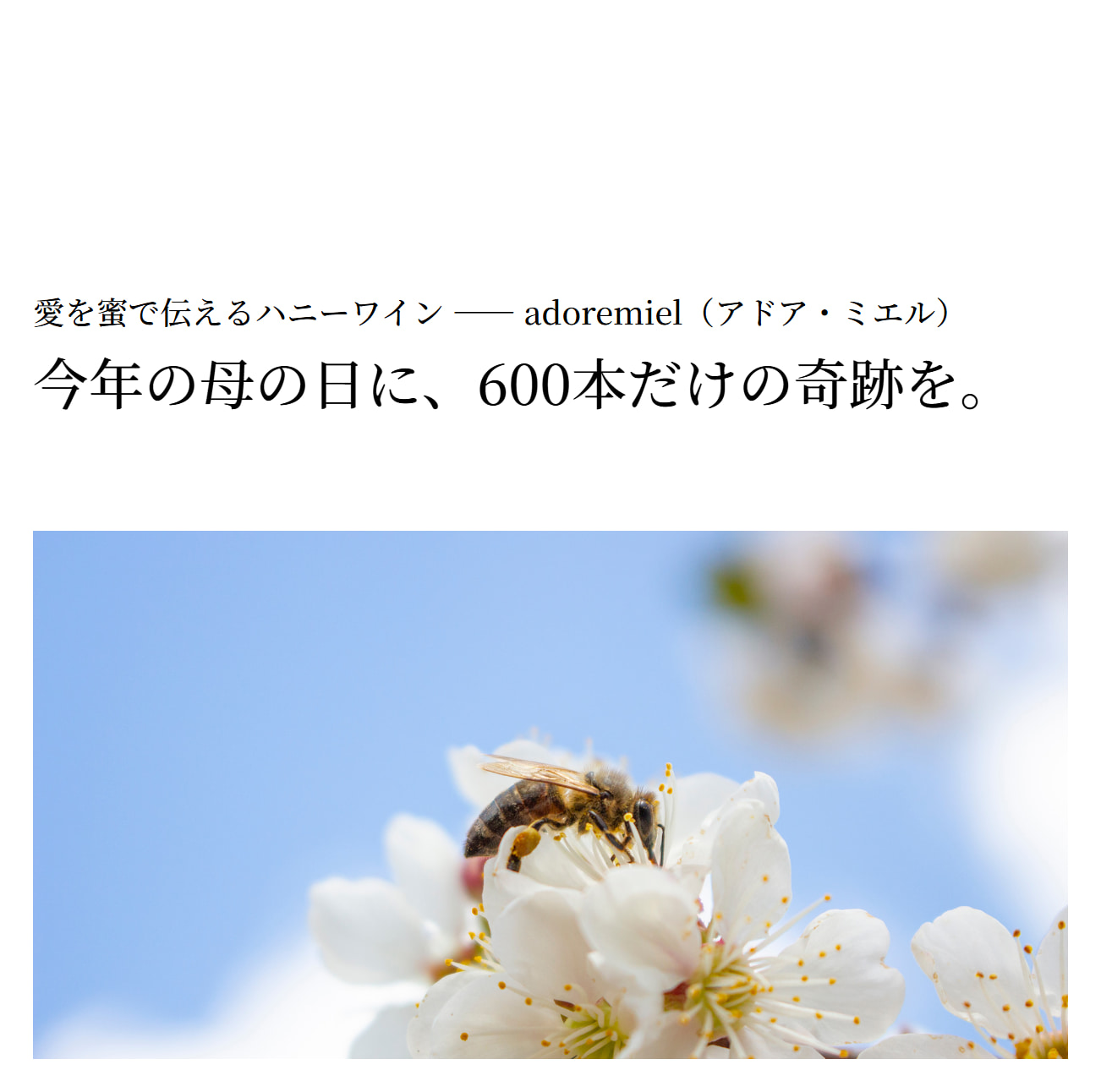 山形県産さくらんぼの蜜を使用したアドア・ミエル ハニーワイン