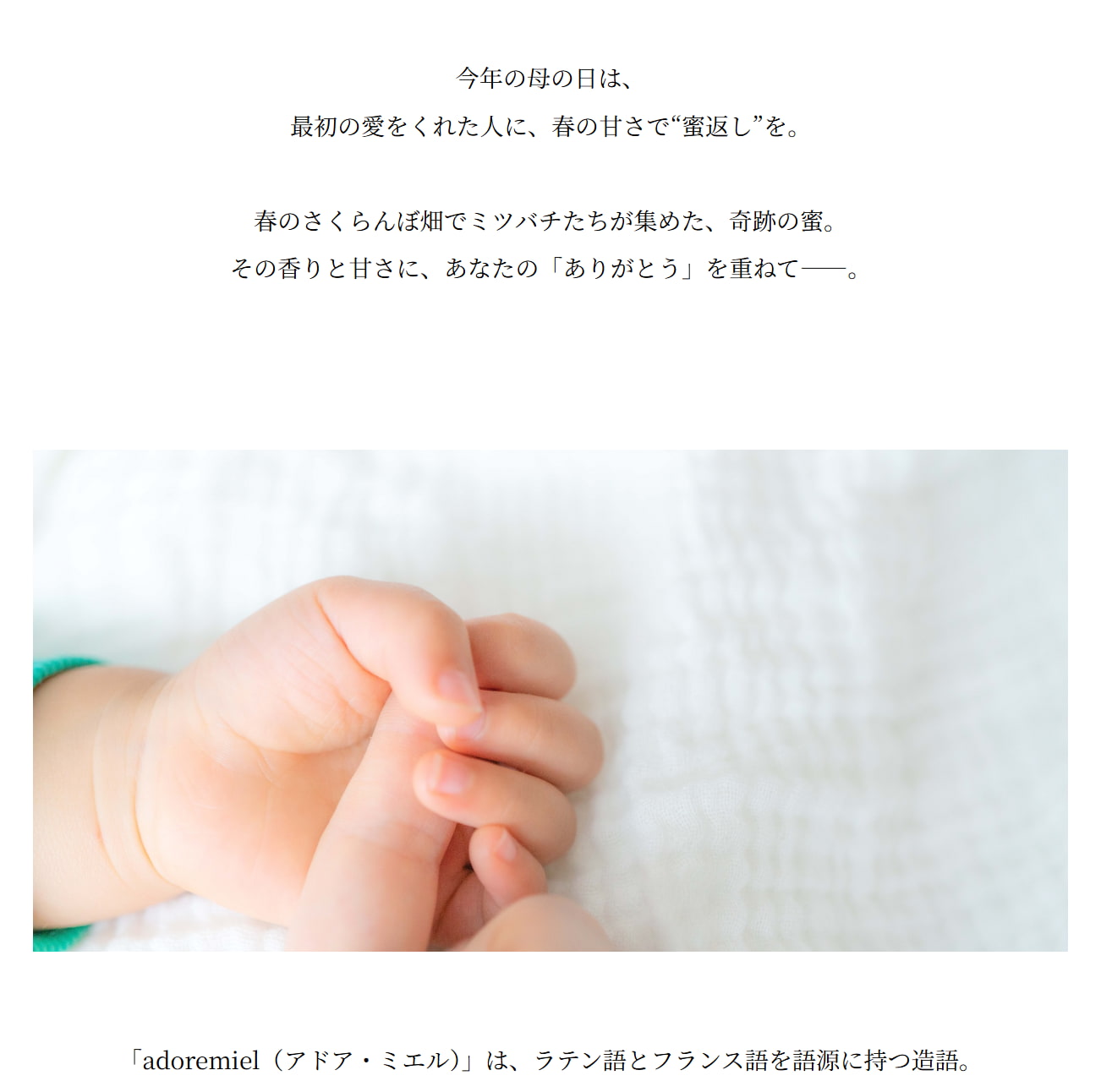 ブランドストーリー アドア・ミエルが伝えたい想い