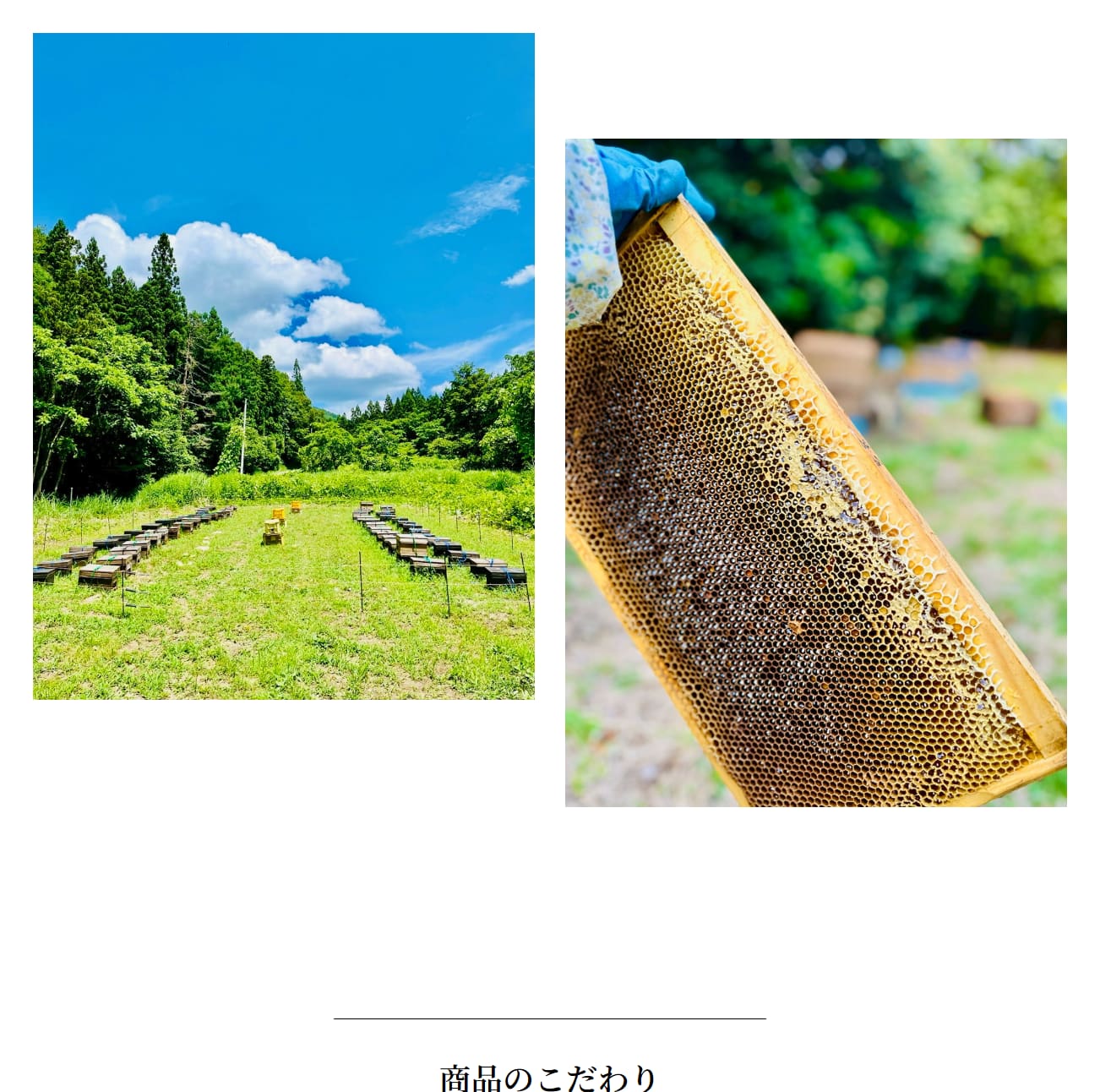 感謝を伝えるハニーワイン 蜜返しミードのやわらかな味わい