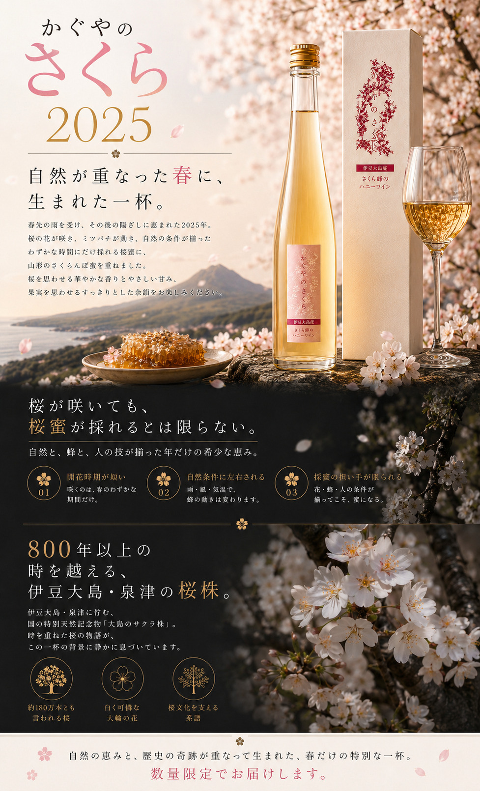 ハニーワイン かぐやのさくら ミード 蜂蜜酒 2025 375ml 桜蜜 伊豆大島