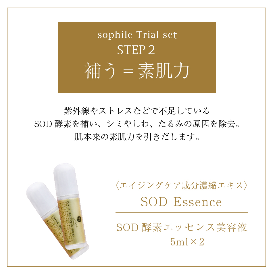 正規品＞10日間トライアルセット 朝用洗顔 SOD酵素エッセンス美容液 夜