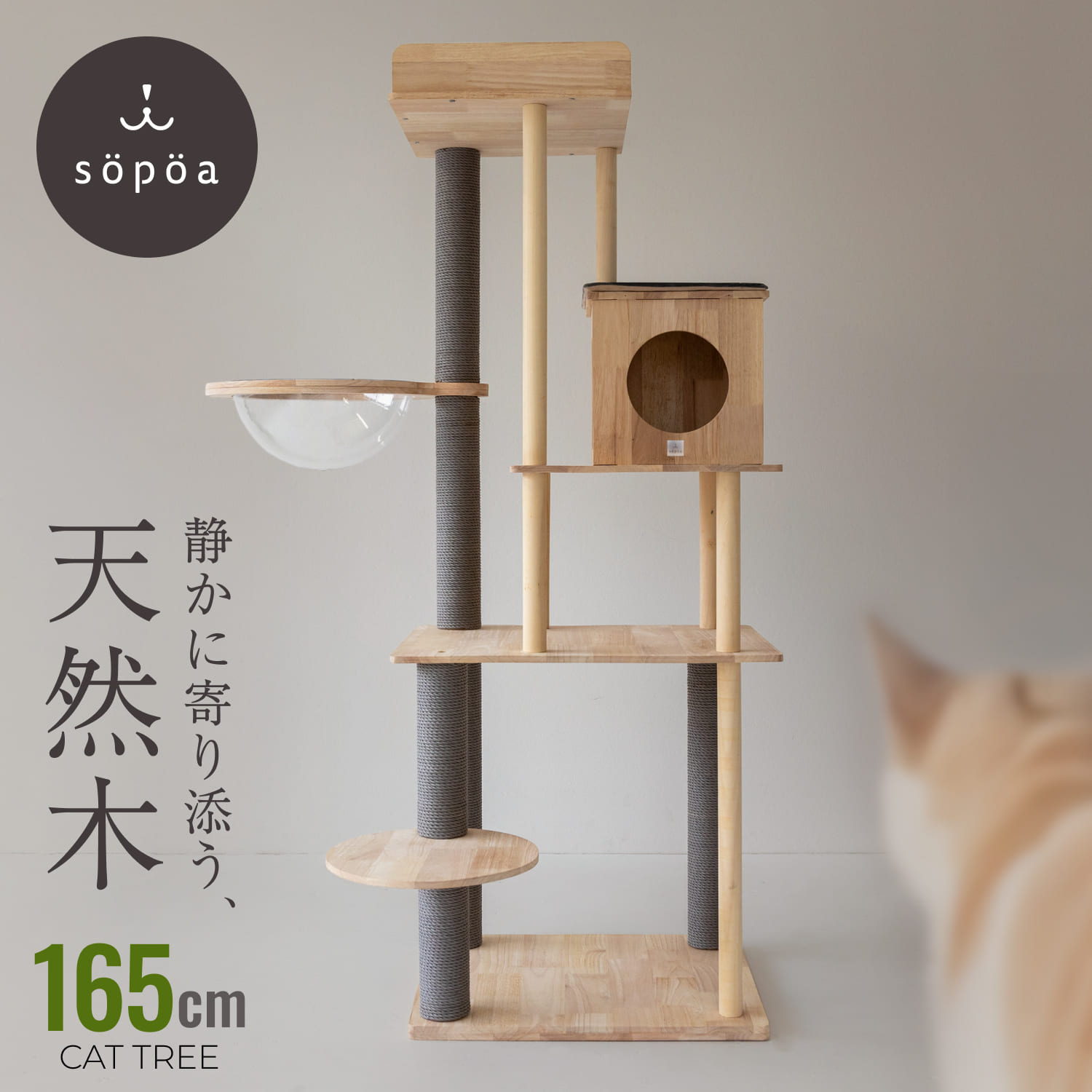 sopoa（ソポア） キャットタワー キャットツリー 木製 高さ148cm S