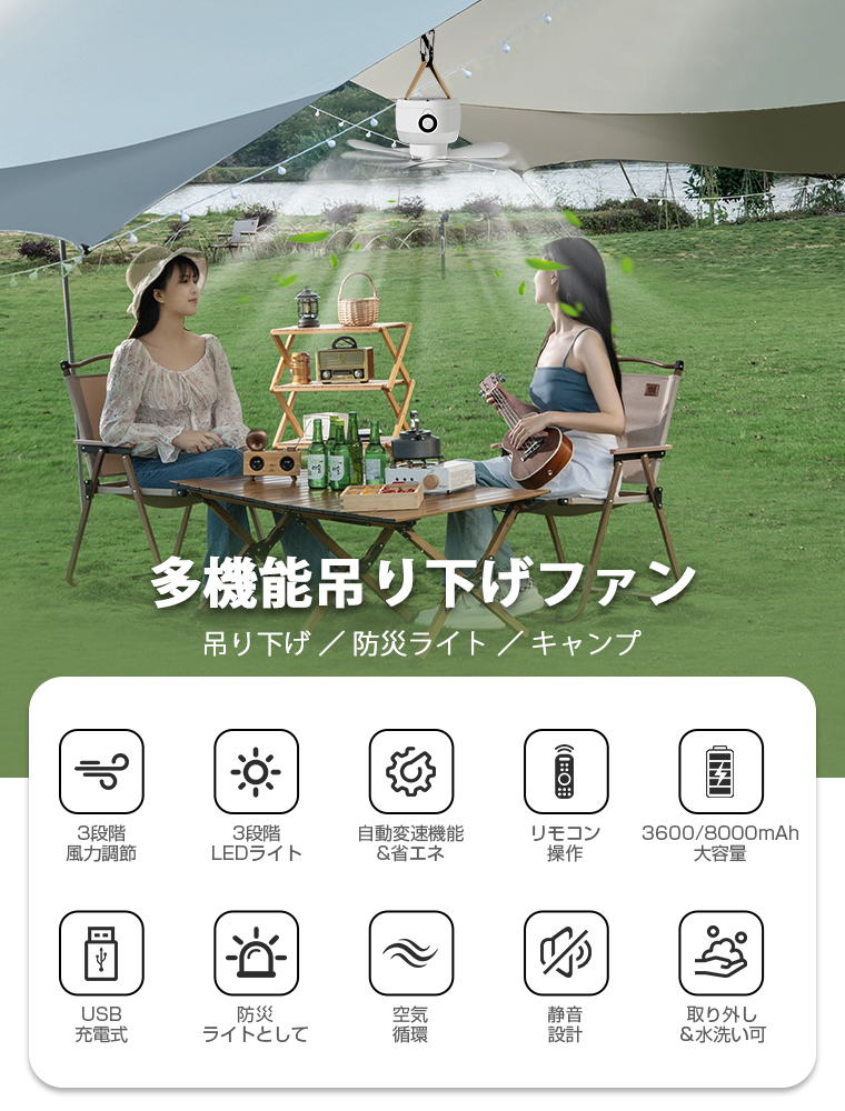 USBファン 手持ち