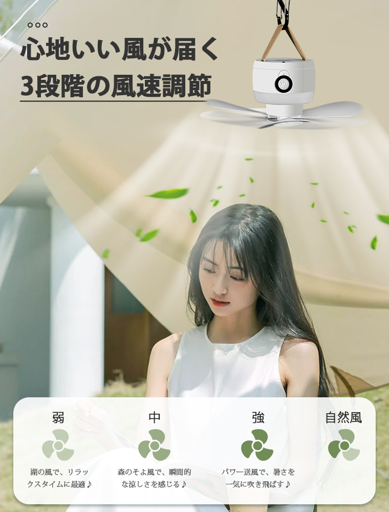 USBファン 手持ち