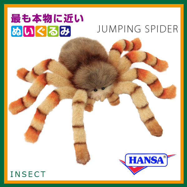 HANSA ハンサ ぬいぐるみ 6556 ハエトリグモクモ 蜘蛛 リアル 虫