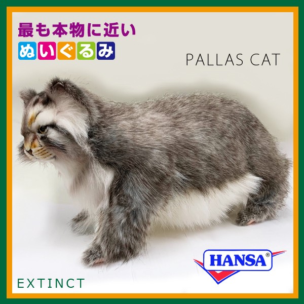 ポイント10倍 期間限定 HANSA ハンサ ぬいぐるみ 7077 マヌルネコ マヌル猫 リアル 動物 : ca-bh7077 :  ソプラノYahoo!店 - 通販 - Yahoo!ショッピング