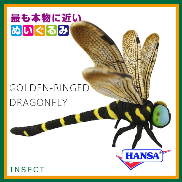 とんぼ様 ca-bh8583-2.jpg