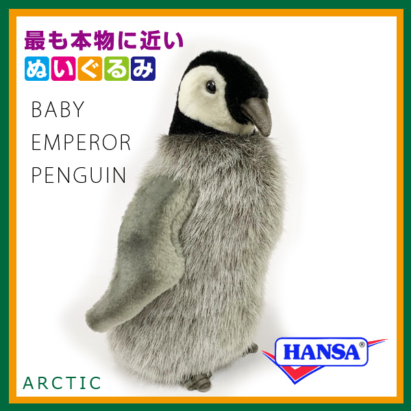 ゾエ様　　　ペンギン&シャチ ca4668-n22.jpg