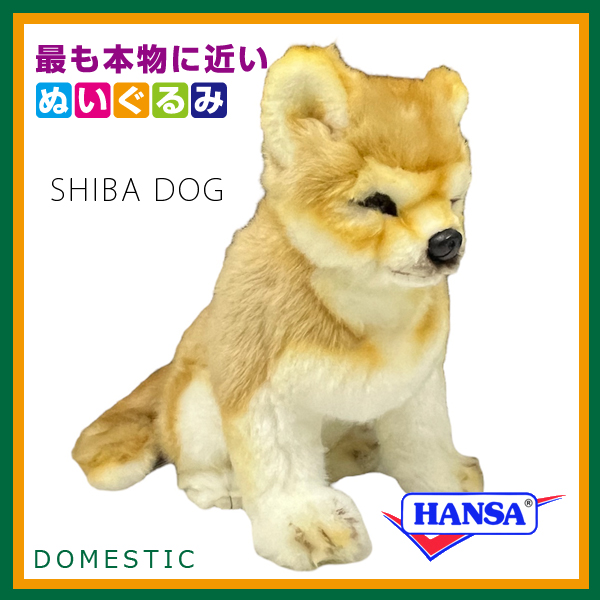 柴犬 23 | HANSA