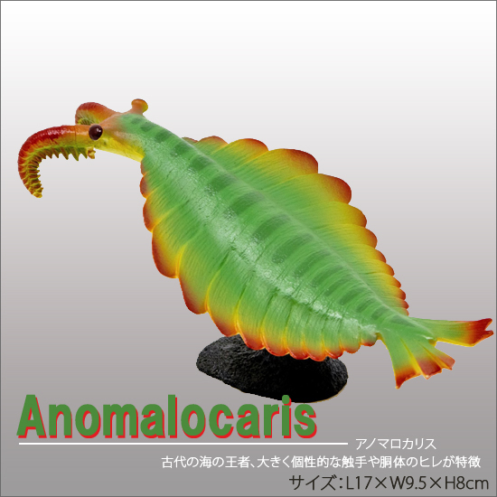 フェバリット 古生物フィギュア プレヒストリックライフ ソフトモデル