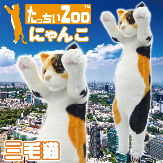 たっちぃZoo にゃんこ 三毛猫 猫のぬいぐるみ : ソプラノYahoo!店