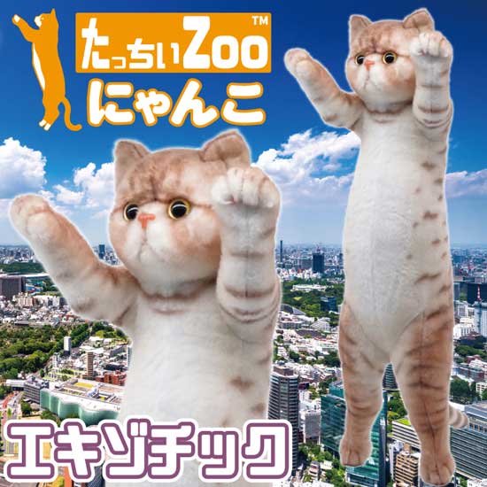 たっちぃZoo にゃんこ エキゾチック 猫のぬいぐるみ : ソプラノ