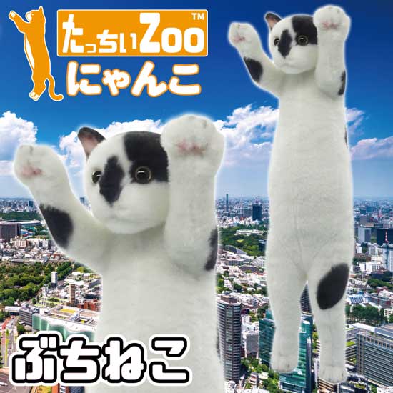 たっちぃZoo にゃんこ ぶち猫 猫のぬいぐるみ : ソプラノYahoo!店